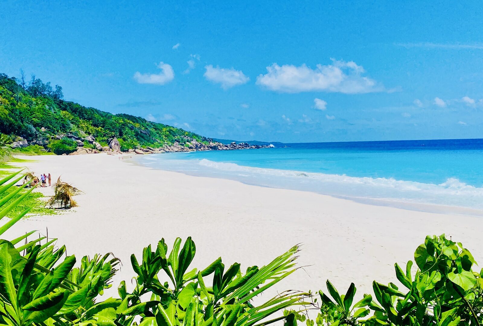 2028_Mauritius_Seychellen_Madagaskar_Bild_1