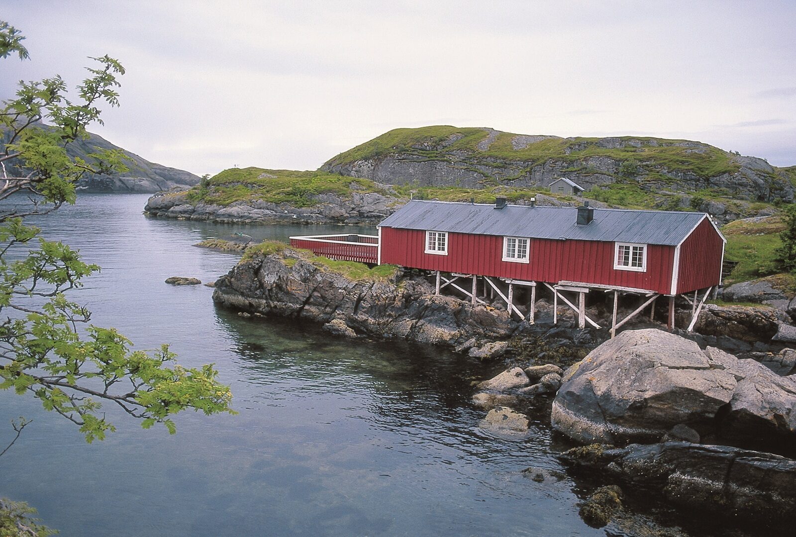 Lofoten
