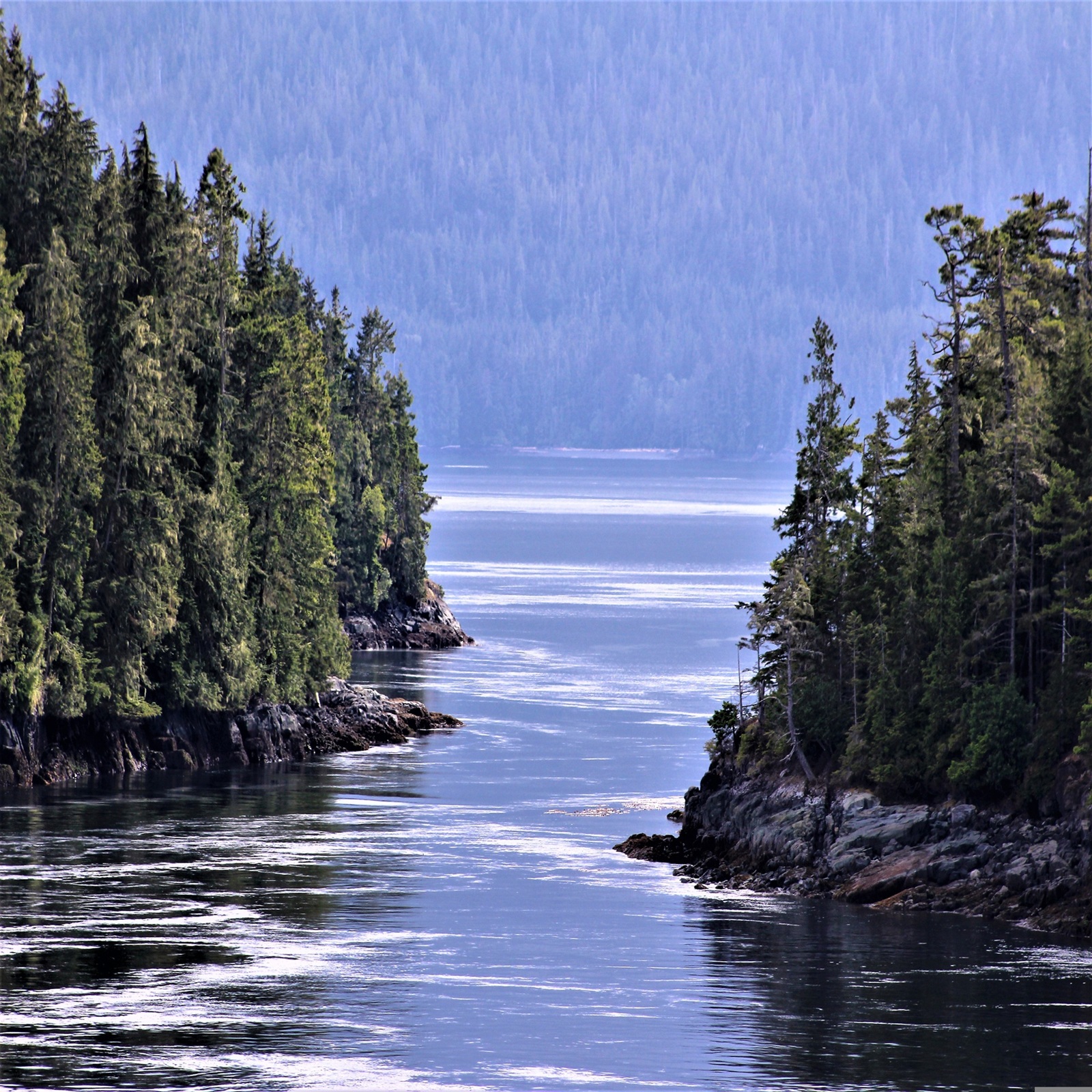 cassiep1972-alaska-5091797